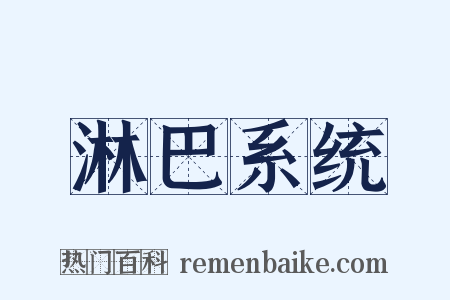 淋巴系统是什么意思的图片